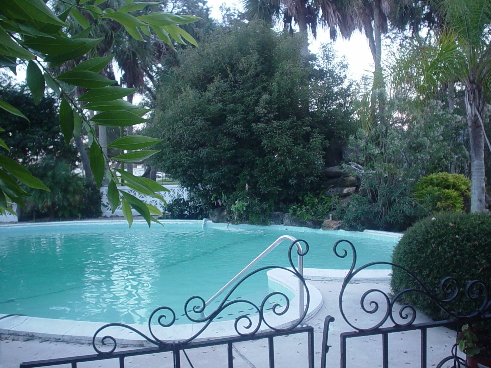 The River Lily Daytona Beach Einrichtungen foto